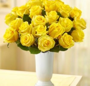 Roses of the Sun